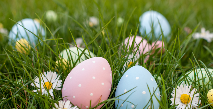 Easter comes knocking