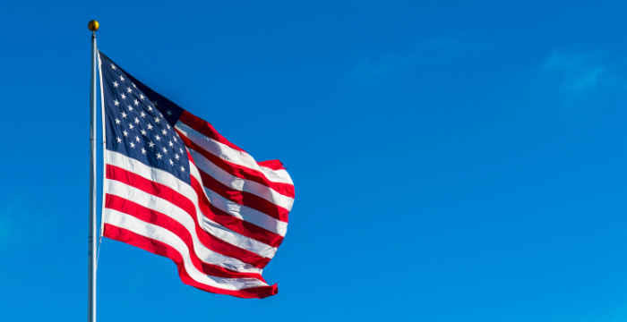 Stars and Stripes : The Perfect Presidential Joke Day Tie