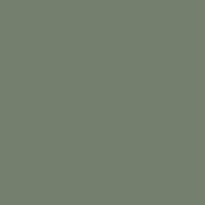 Trending Color - Sage Green