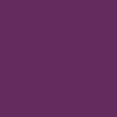 Trending Color - Plum