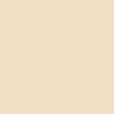 Trending Color - Champagne