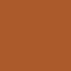 Trending Color - Burnt Orange