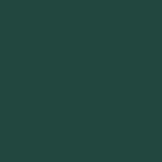 Trending Color - Dark Green