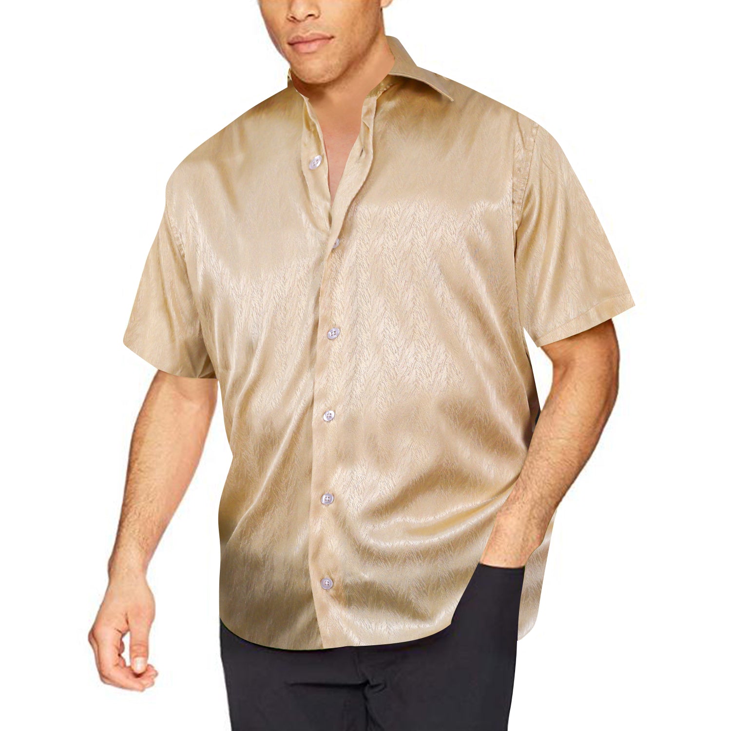 Barry.wang Light Gold Solid Short Sleeves Silk Shirt