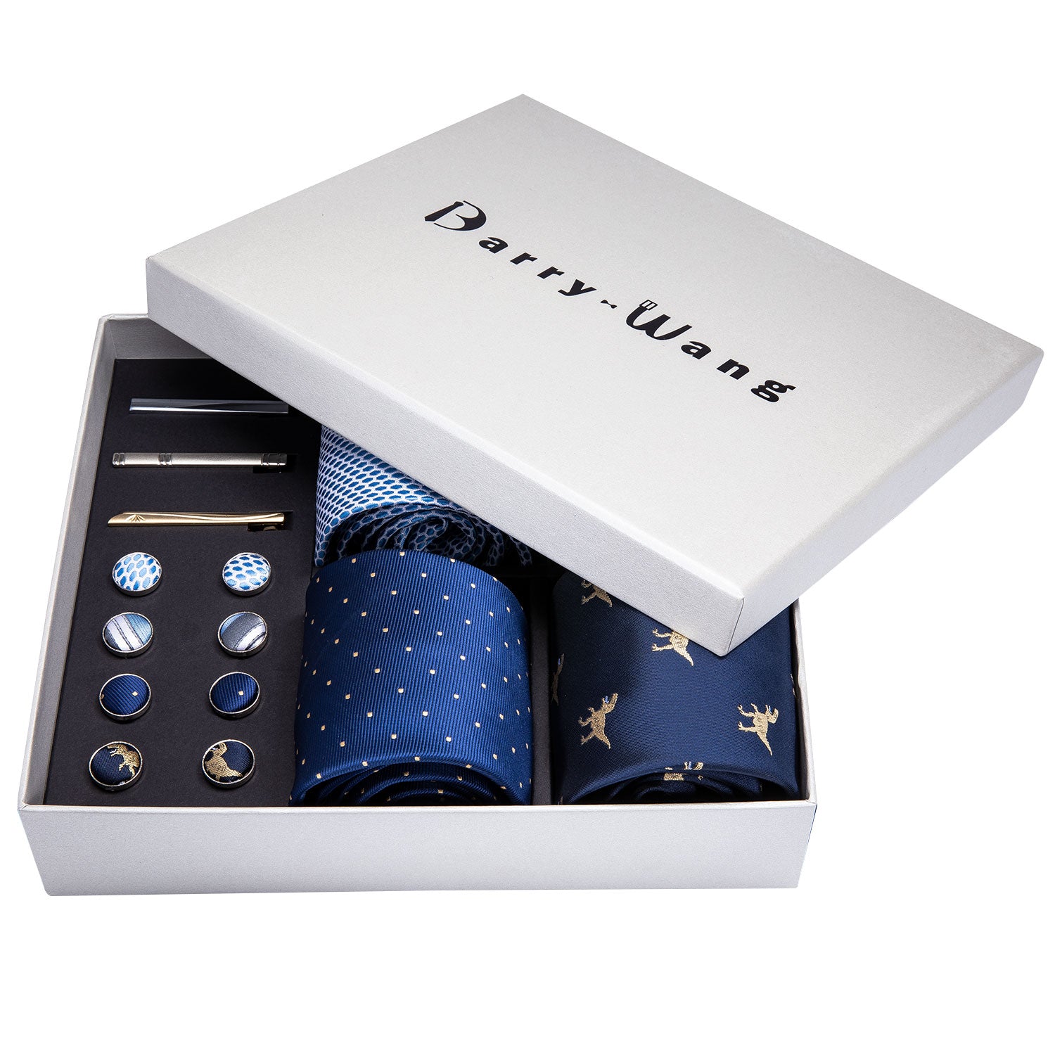 Blue Dinosaur Paisley Silk Wedding Necktie Pocket Square Gift Box Set