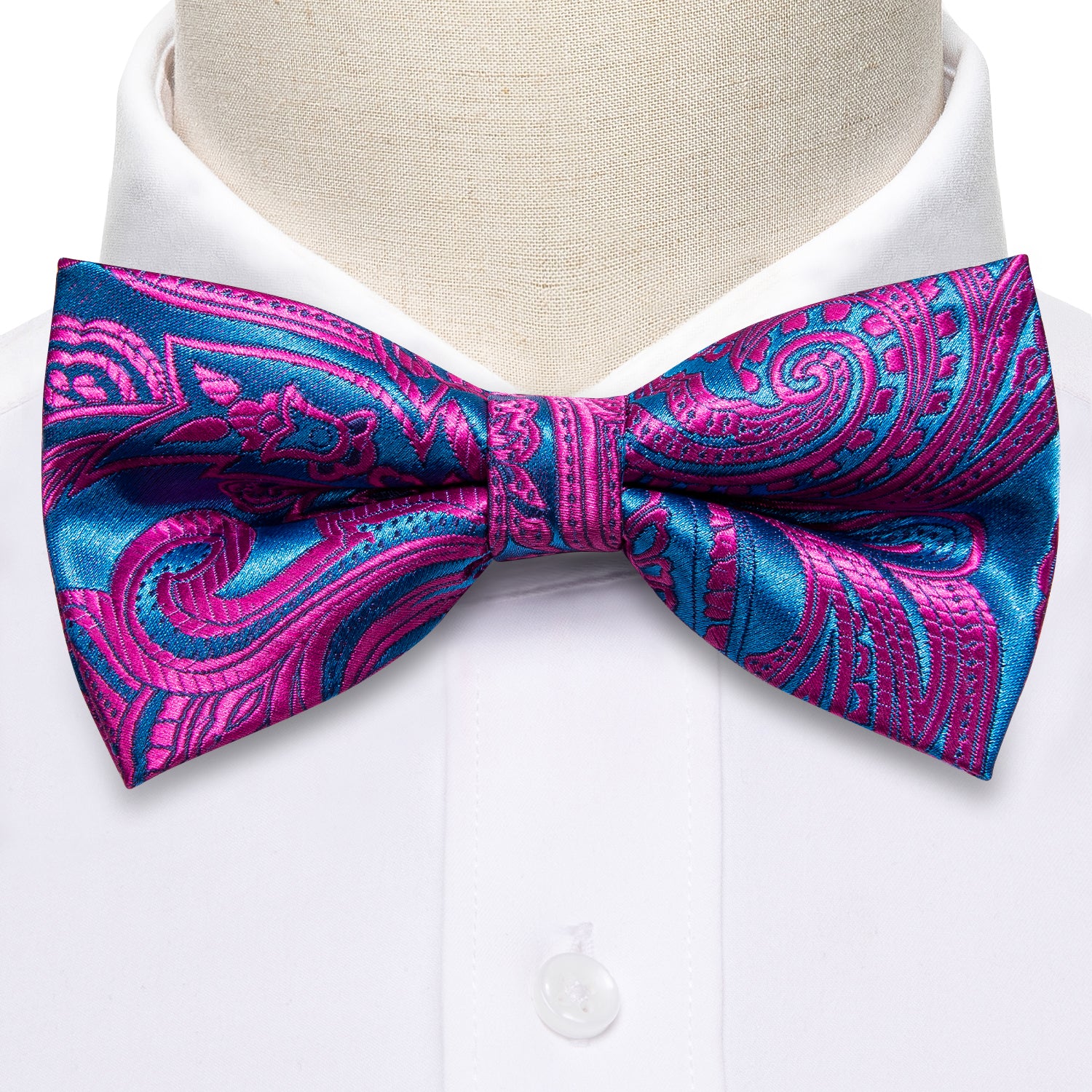 plum paisley tie